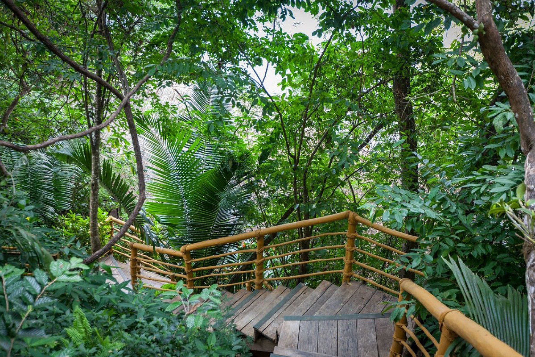 Xinalani Retreat
